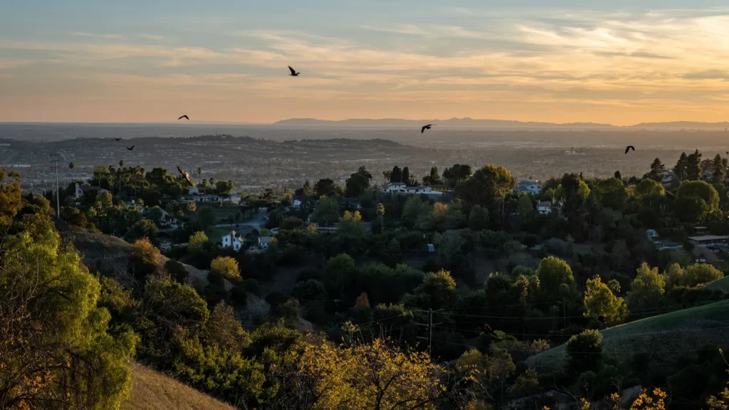 The hills of La Habra Heights
