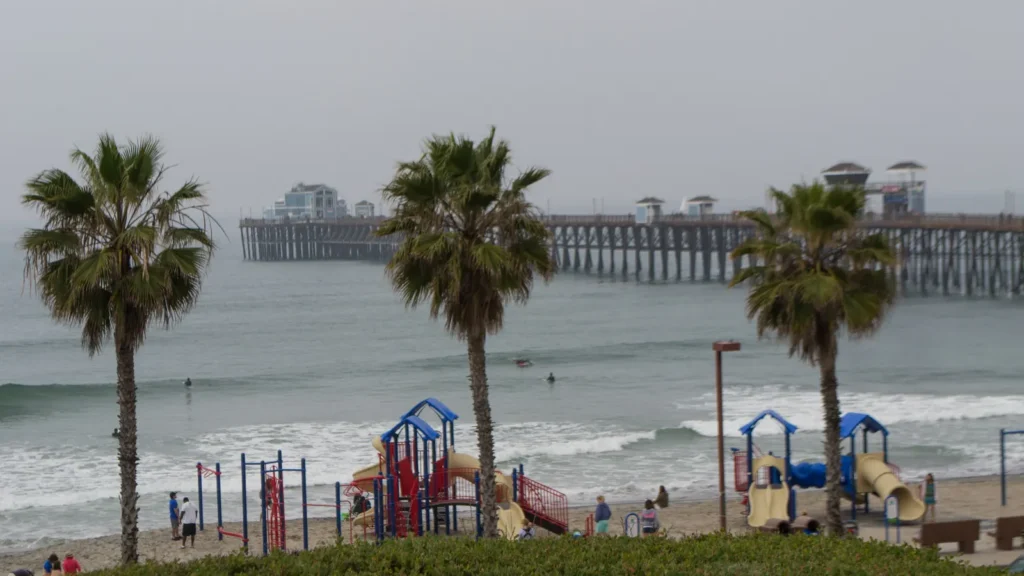 The Oceanside Pier and palm trees along the beach