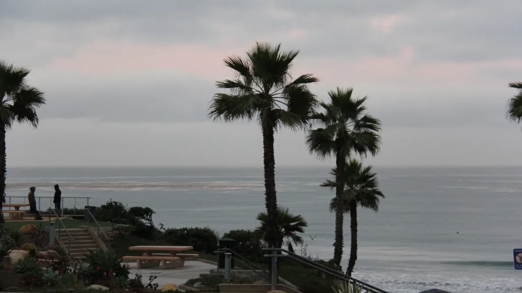 Fletcher Cove and palm trees on the Solana Beach bluffs