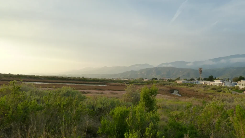 Green Carpinteria Salt Marsh with the Santa Ynez Mountains in the distance