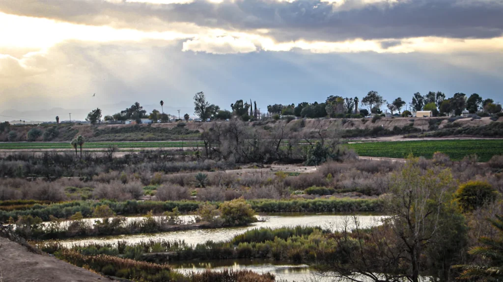The New River winding through reeds and wetland at the edge of Brawley under a cloudy sky