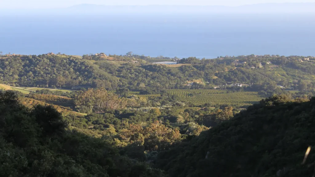 Wooded hills of Montecito sloping down to the Pacific Ocean